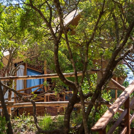 Camping Lacona Pineta Capoliveri  Exterior foto