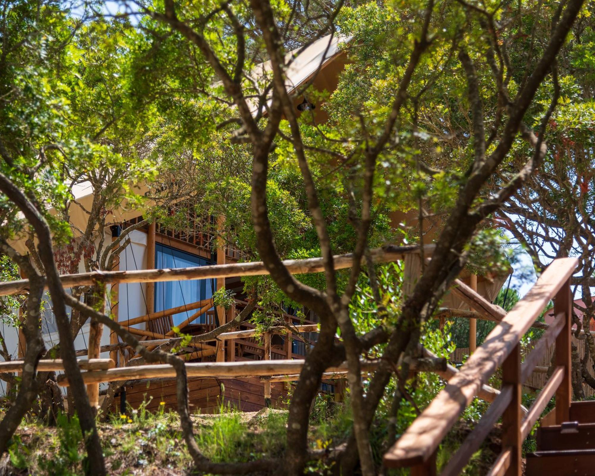 Camping Lacona Pineta Capoliveri  Exterior foto