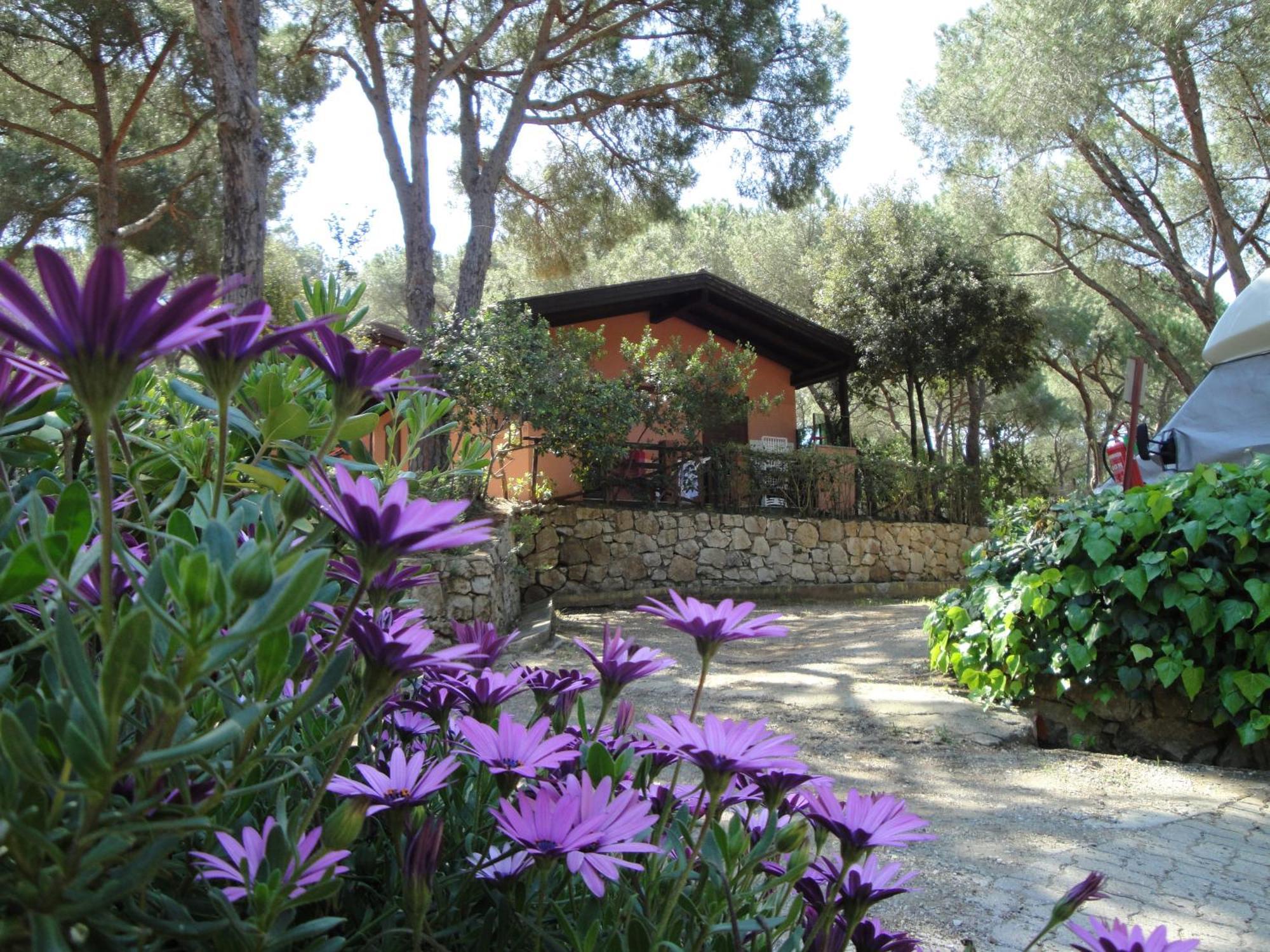 Camping Lacona Pineta Capoliveri  Exterior foto